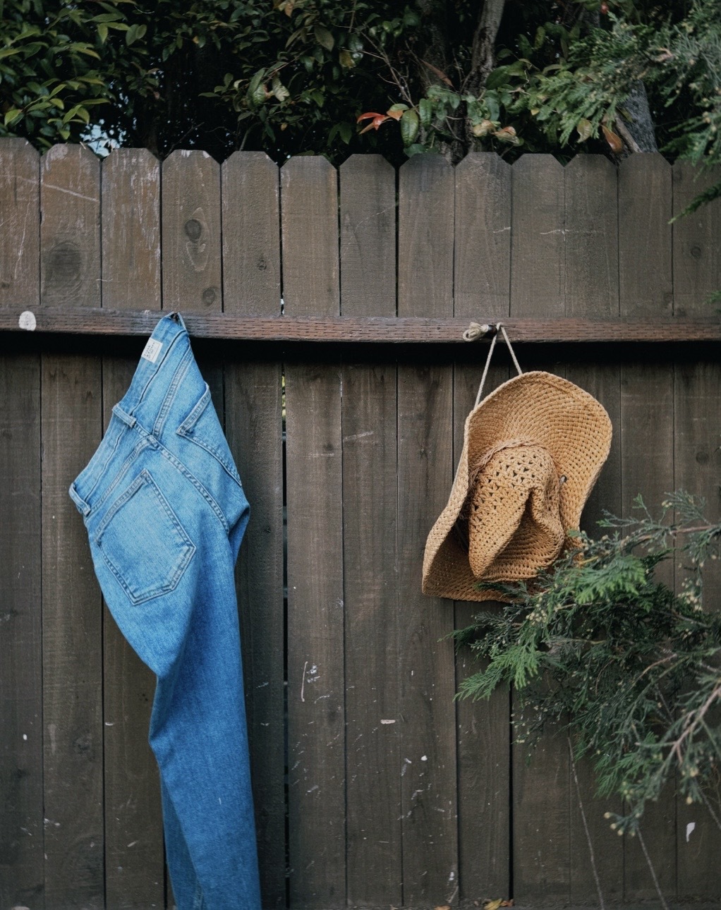 Frank & Eileen lifestyle — Derry jeans